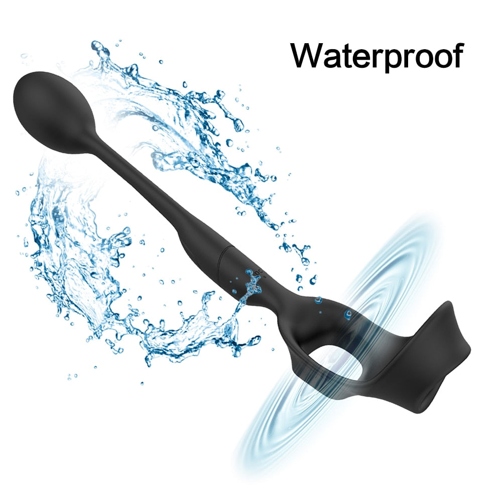 3 in 1 Vibrating Prostate Massager with Cock Ring